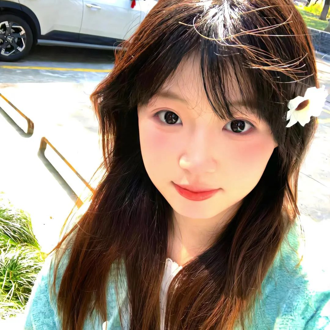 飞燕惊鸿