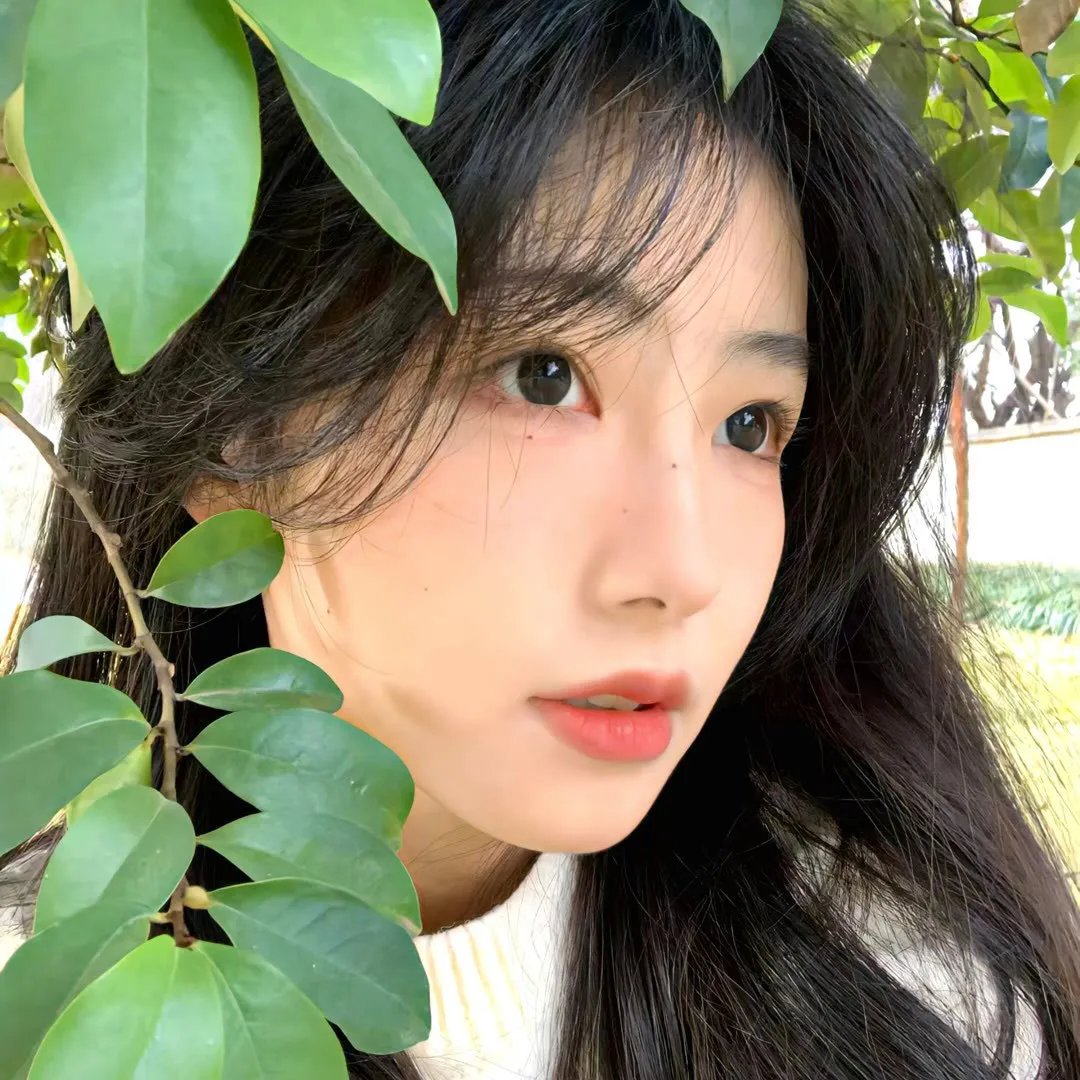 青涩禁果