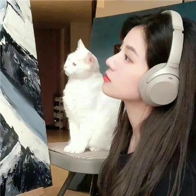 生命诚可贵
